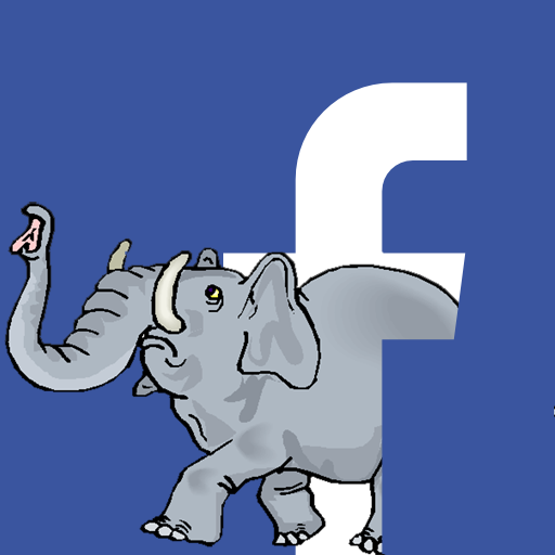 Dawn Patrol Rotary Club Maidstone on Facebook