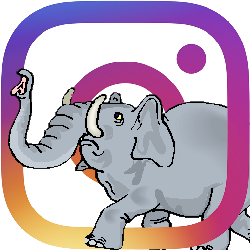 Dawn Patrol Rotary Club Maidstone on Instagram